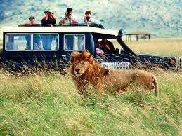 African Safari Collection