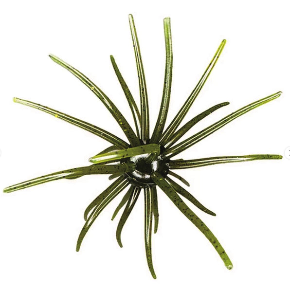 Hag's Baits Prickley Pear