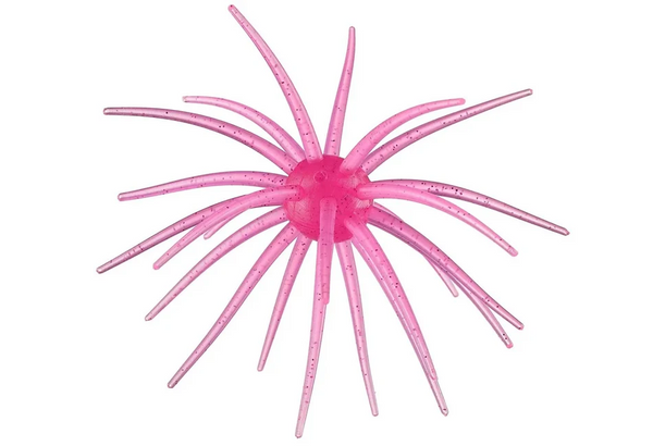 Hag's Baits Prickley Pear