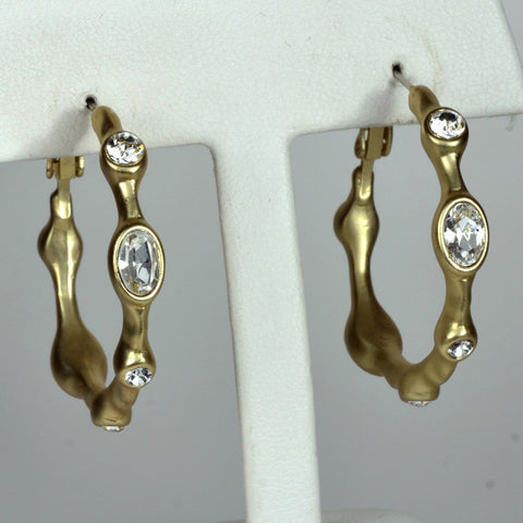 Small Hoops with Swarovski Crystals Earrings