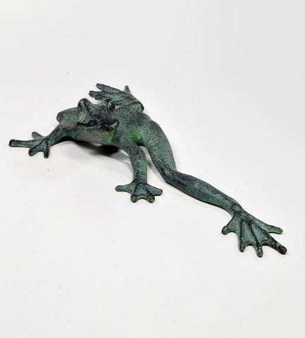 Froggy Long Legs Stretching his Legs