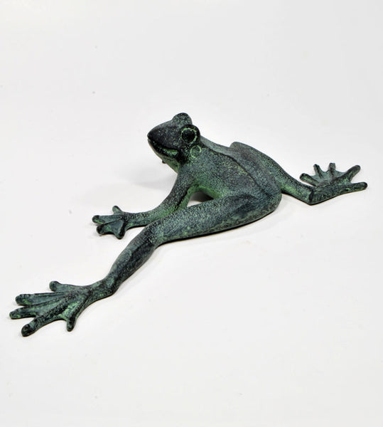 Froggy Long Legs Stretching his Legs