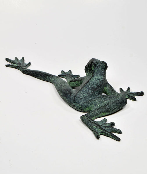 Froggy Long Legs Stretching his Legs