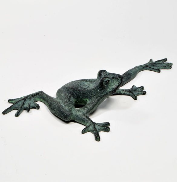 Froggy Long Legs Stretching his Legs