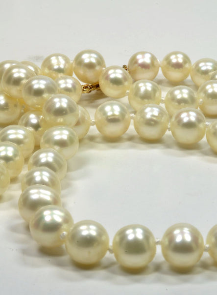 Freshwater White Pearl Necklace, 7-8mm