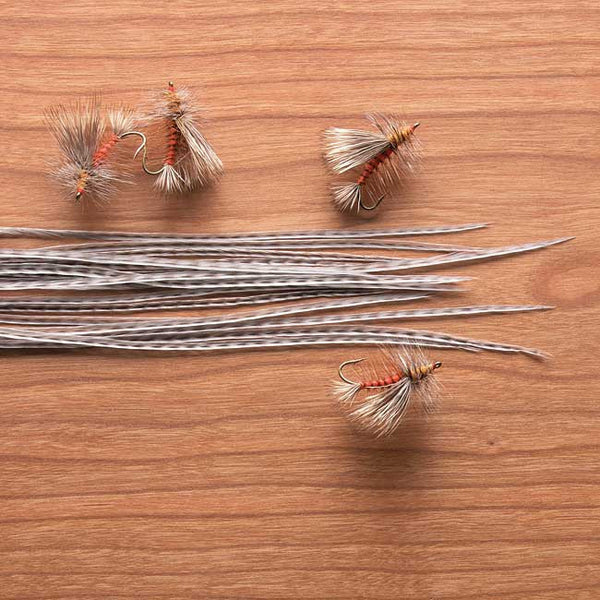 Whiting Farms 100s Hackle