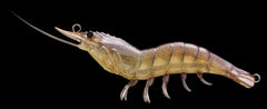 LiveTarget Hybrid Shrimp Hard Body Lure 4/Sand - Andy Thornal Company