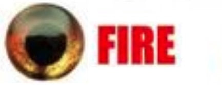 Fish Skull Living Eyes