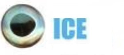 Fish Skull Living Eyes