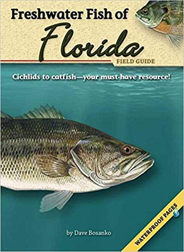 Freshwater Fish of Florida Field Guide by Dave Bosanko