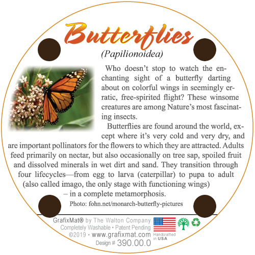 GrafixMat Butterflies Coaster