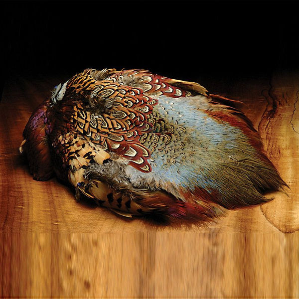 Wapsi - Ringneck Pheasant Whole Skin, no tail