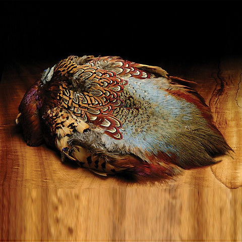 Wapsi - Ringneck Pheasant Whole Skin, no tail