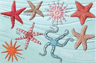 Pumpernickel Press Greeting Card - Swinging on a Star