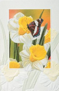 Pumpernickel Press Greeting Card - White Admiral Butterfly