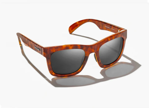 Bajio Cometa Tort/Grey/Glass