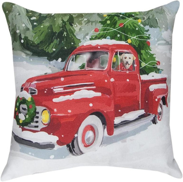 MWW Decorative Pillows