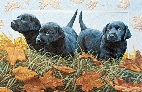 Pumpernickel Press Greeting Card - Leafy Labs