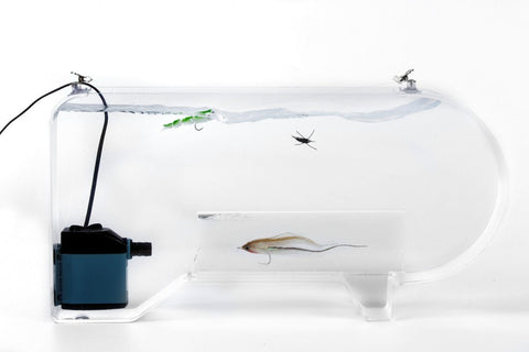 Fish Skull Fly Tester