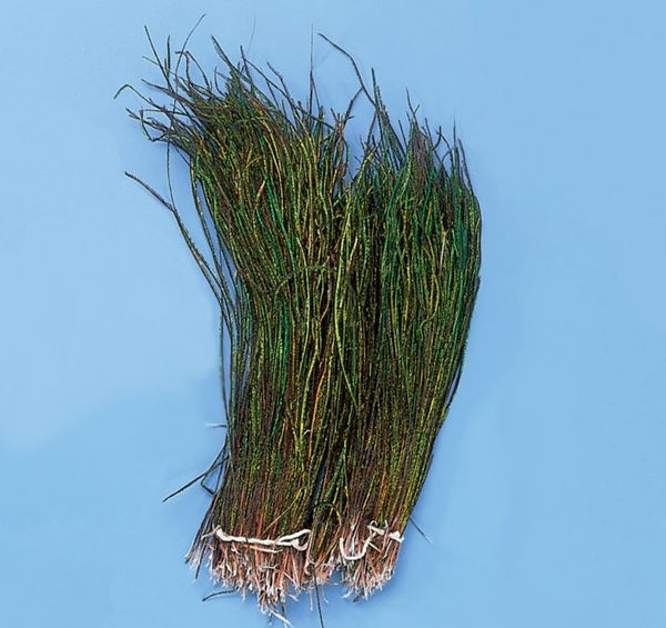 Wapsi - Peacock Strung Herl