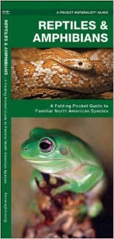 Reptiles & Amphibians: A Folding Pocket Guide