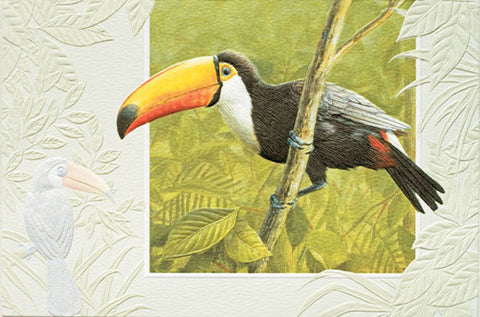 Pumpernickel Press Greeting Card - Toco Toucan