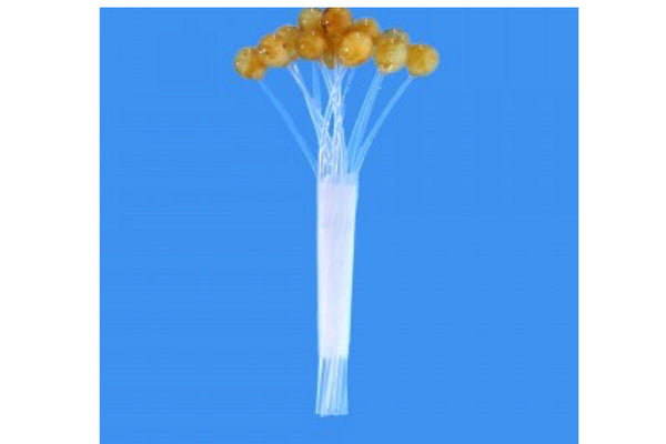 EP Crab and Shrimp Eyes