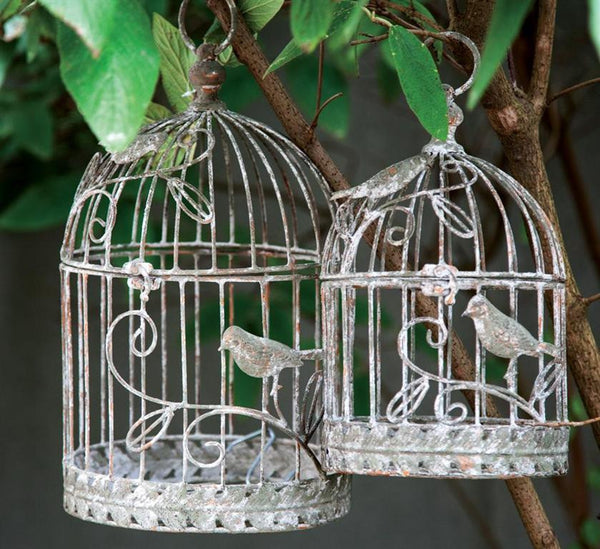 MWW Swirl Bird Cage