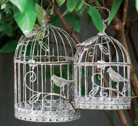 MWW Swirl Bird Cage
