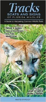 Tracks Scats and Signs of Florida Wildlife