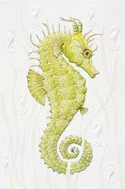 Pumpernickel Press Greeting Card - Seahorse