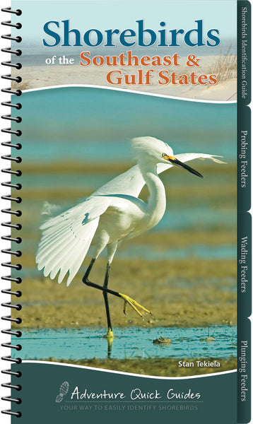 Shorebirds of the Southeast & Gulf States by Stan Tekiela
