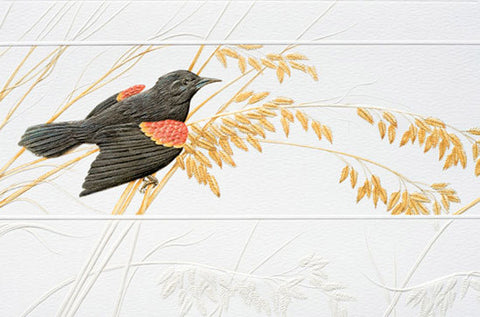 Pumpernickel Press Greeting Card - Red-Winged Blackbird