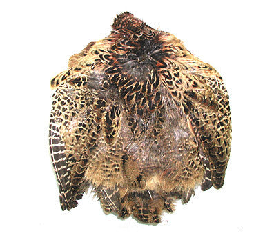 Wapsi - Ringneck Pheasant Whole Skin, no tail