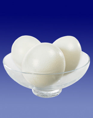 Ostrich Eggs for Display | Set of 3