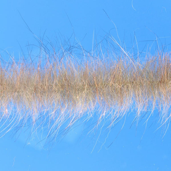 EP Senyo Chromatic Brushes 1.5" Wide