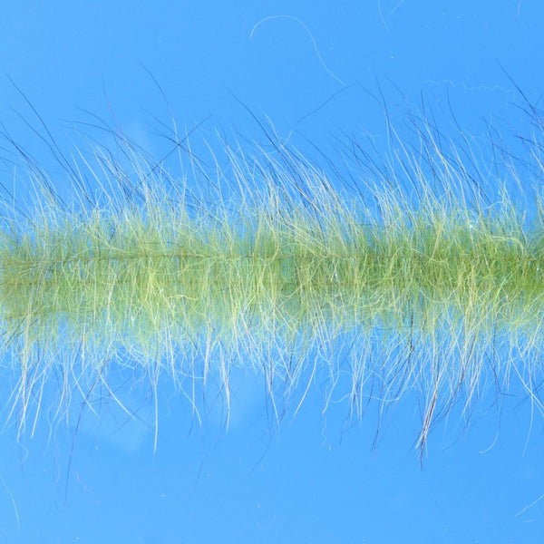 EP Senyo Chromatic Brushes 1.5" Wide